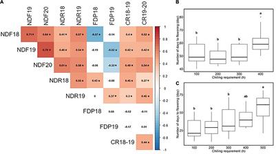 Genome-Wide Identification of Loci Associated With Phenology-Related Traits and Their Adaptive Variations in a Highbush Blueberry Collection